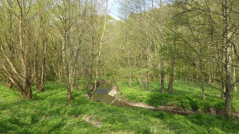 Die Oster, ein kleiner Bach im Ostertal, schlängelt sich durch die grüne Landschaft.