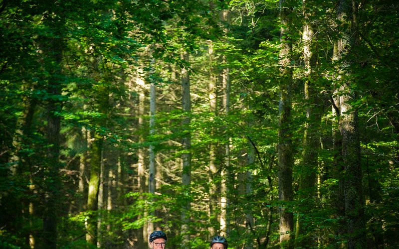 Radfahren bei Güdesweiler 2 Männer fahren mit ihren Rädern auf einem Waldweg durch den Wald. Über ihnen erhebt sich ein Blätterdach.