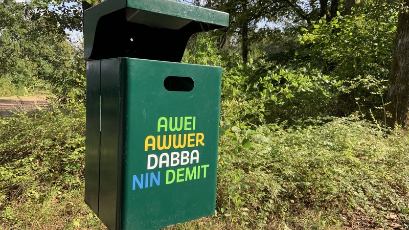 Grüner Mülleimer mit der bunten Aufschrift "Awei awwer dabba nin demit"