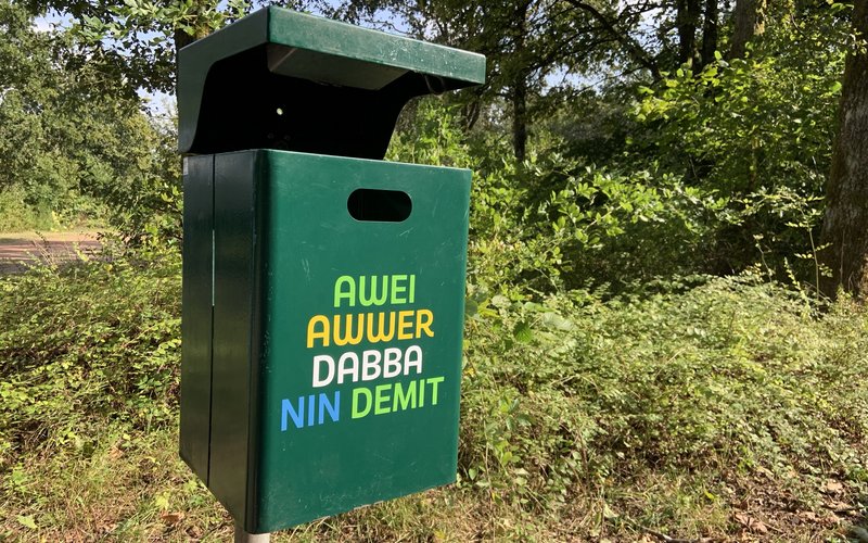 Grüner Mülleimer mit der bunten Aufschrift "Awei awwer dabba nin demit"