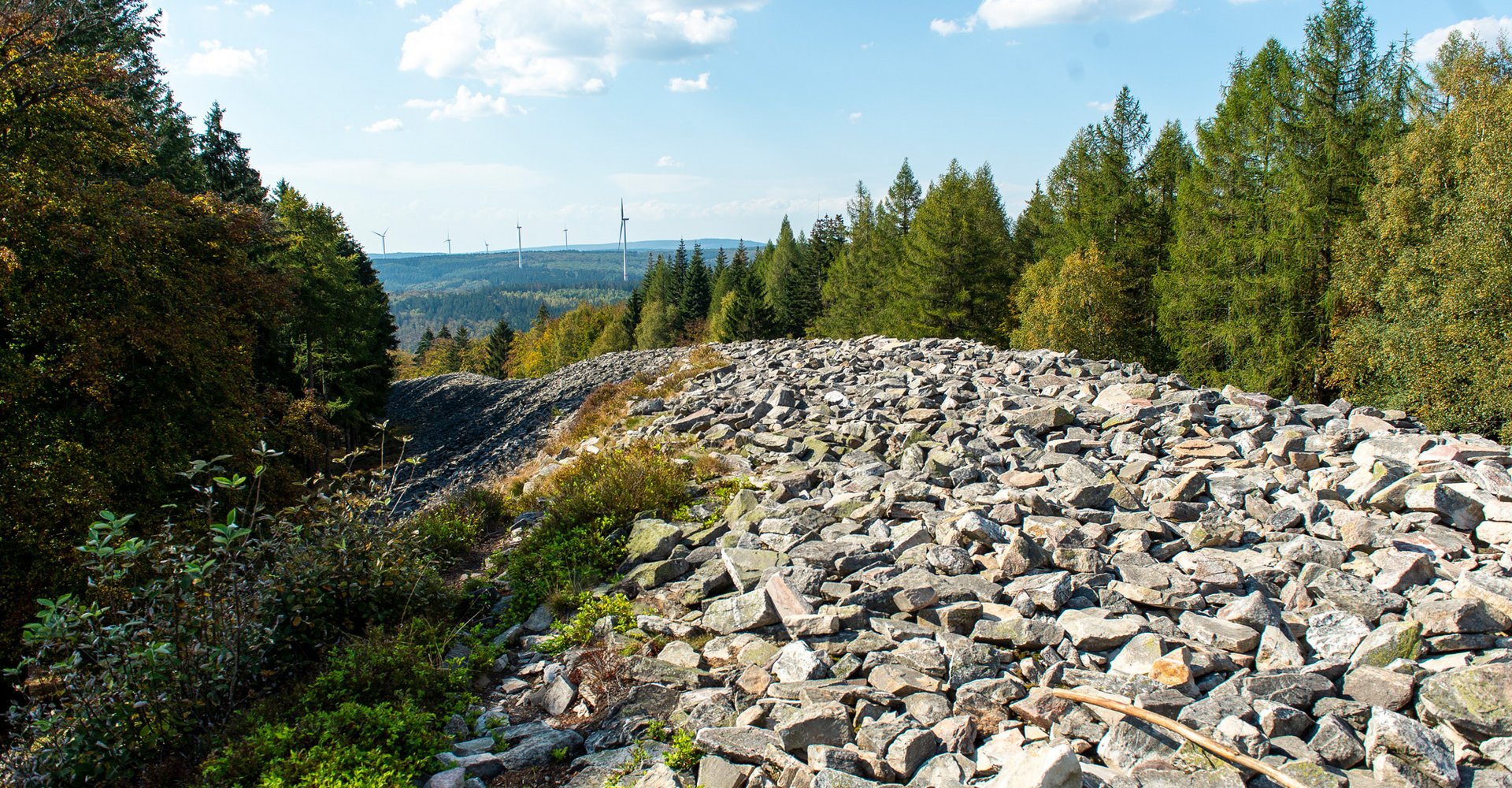 Der keltische Ringwall ist ein Steinwall, der über 2.000 Jahre alt und 10 Meter hoch ist. Er liegt mitten im Wald.