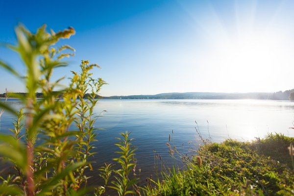 Vom Ufer aus hat man einen tollen Blick auf das blaue Wasser des Bostalsees mit der Sonne im Hintergrund.