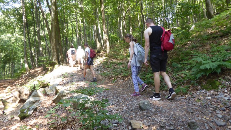 Eine kleine Touristengruppe wandert einen schmalen Pfad im Grünen entlang