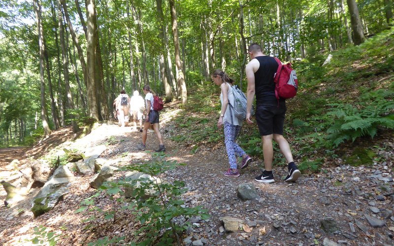 Eine kleine Touristengruppe wandert einen schmalen Pfad im Grünen entlang